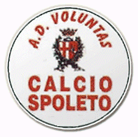 Voluntas Spoleto